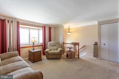 943 Circle Dr, Halethorpe, MD 21227 - photo 4