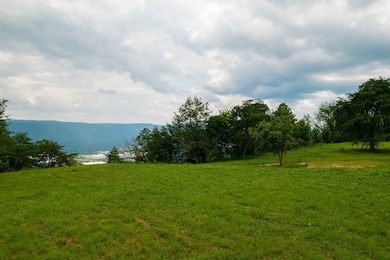 1984 Brow Rd, Trenton, GA 30752 - photo 6