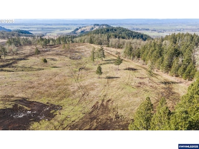 Lot 1st St, Harrisburg, OR 97446 - photo 4