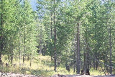 259 Mountain Timbers Dr, Columbia Falls, MT 59912 - photo 6