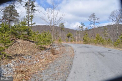 0 Herschel Ln unit 1003415392, Gerrardstown, WV 25420 - photo 6