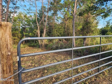 6405 Highway 77, Chipley, FL 32428 - photo 2