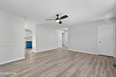 Spacious Light-filled Living Room