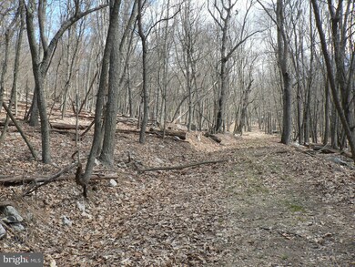 37 ACS Greenwalt Gap, Upper Tract, WV 26866 - photo 6