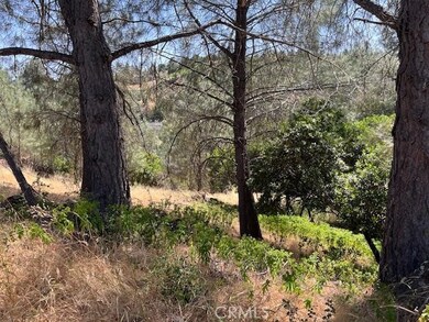 10353 Walnut Way, Kelseyville, CA 95451 - photo 4