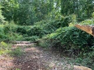 Wooded lot 7 b