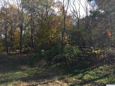 358 Flats Rd, Athens, NY 12015 - photo 4