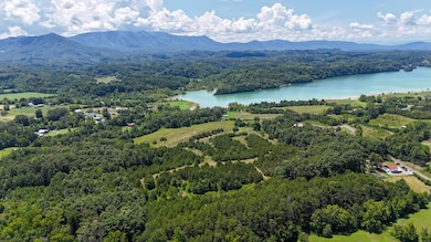 1430 Swannsylvania Rd, Dandridge, TN 37725 - photo 3