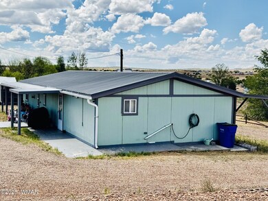 115 Foothills Blvd, Taylor, AZ 85939 - photo 2