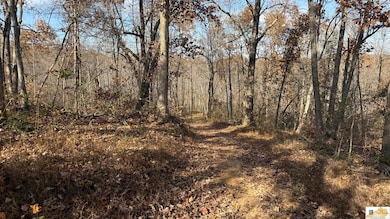 527 Chestnut Grove Cemetery Rd, Bonnieville, KY 42713 - photo 5