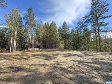 430 Craig Rd, Sequim, WA 98382 - photo 3