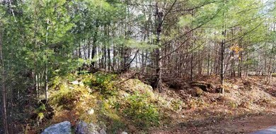 38 Remington Rd unit Lot 12, Thornton, NH 03285 - photo 2