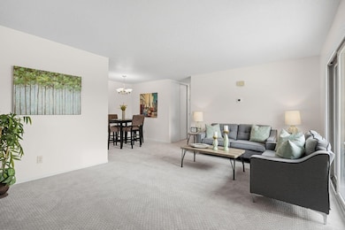 6317 83rd Ct N, Brooklyn Park, MN 55445 - photo 7