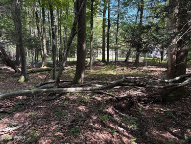 0 Wallenpaupack Dr unit PWBPW252769, Greene Township, PA 18426 - photo 4