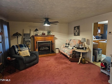 5507 Thackers Branch Rd, Norton, VA 24273 - photo 7