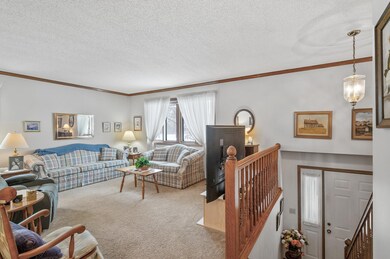 11808 Undercliff St NW, Coon Rapids, MN 55433 - photo 5