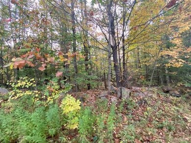 0 Long St, Limerick, ME 04048 - photo 2