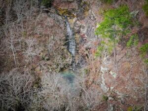 13.14 Acres, Stone County 4