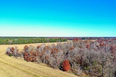 NA Flamingo St NW, Bradford Township, MN 55040 - photo 6