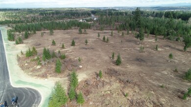 15814 Boise Ln SE, Yelm, WA 98597 - photo 3