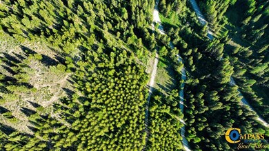 Houghton Creek Rd, Libby, MT 59923 - photo 7