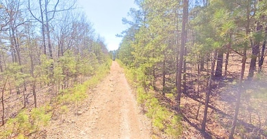 0 Wildwood Trail unit 25634053, Fairfield Bay, AR 72088 - photo 3