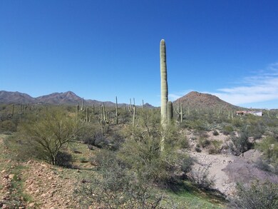 Wash is on the west border of parcel 2