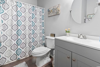 Bathroom with vanity, dark wood-style flooring, and a shower with curtain