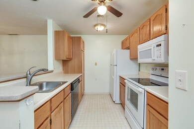 491 Mammoth Rd unit 4, Londonderry, NH 03053 - photo 5