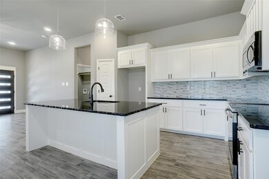 201 Clover Cir, Weatherford, TX 76086 - photo 6