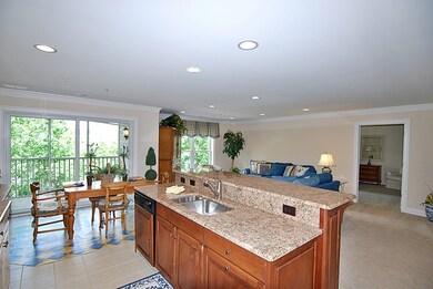 132 N Water St unit 102, Batavia, IL 60510 - photo 6