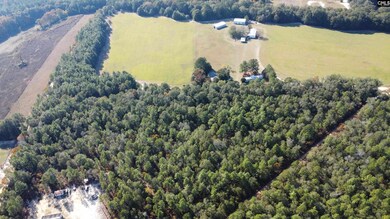 TBD Tosha Ln, Salley, SC 29137 - photo 4