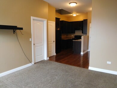 3 W Downer Place unit UPPER, Aurora, IL 60506 - photo 4