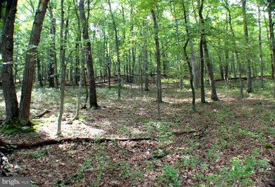 LOT 16 Posy Hill Rd, Wardensville, WV 26851 - photo 3