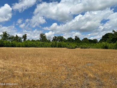 0 Brahan Rd, Sledge, MS 38670 - photo 6