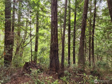 0 Yashi Rd unit NWM2428983, Brinnon, WA 98320 - photo 6