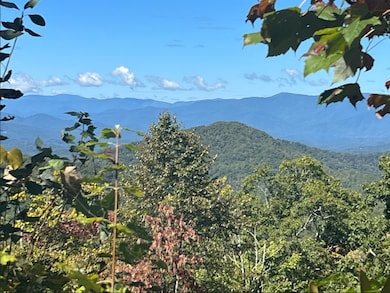 25 25 Stoney Bluff, Bryson City, NC 28803 - photo 4