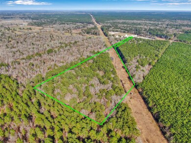 0 Pelican Rd unit 10571863, Shepherd, TX 77371 - photo 3