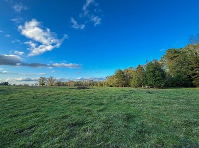 View of yard featuring a rural view