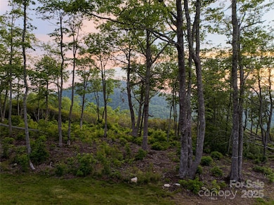 591 Garden Ln, Hendersonville, NC 28792 - photo 2