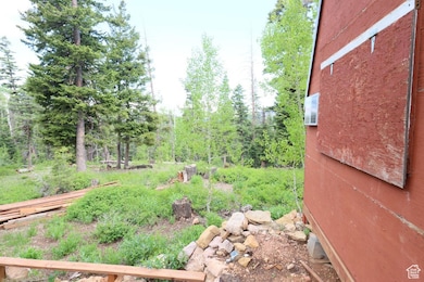 6240 W Grizzly Ln, Duck Creek Village, UT 84762 - photo 3