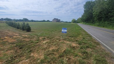 0 Sulphur Springs Rd unit RTC2399868, Shelbyville, TN 37160 - photo 4