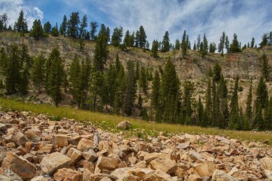 42 & 43 Big Ez Estates Rd, Big Sky, MT 59716 - photo 5