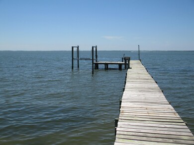 Private Pier with boat lift