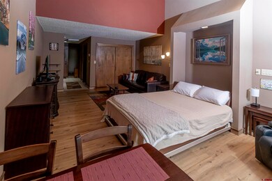 961 N Tamarron Dr unit 555, Durango, CO 81301 - photo 4