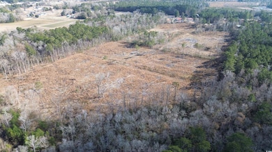 TBD Highway 905, Conway, SC 29526 - photo 6