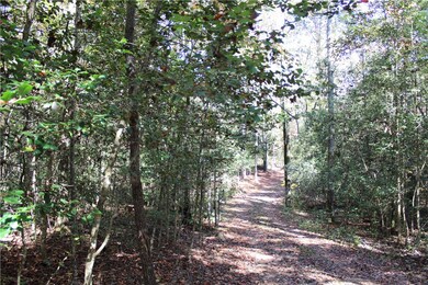 406 Dogwood Dr, Tamassee, SC 29686 - photo 7