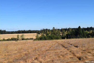 40909 Elk Ridge Ln, Stayton, OR 97383 - photo 5