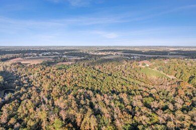 71.73 acres County Road 203, Dothan, AL 36301 - photo 7