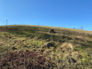 View from private Deck / Stairs to lake.